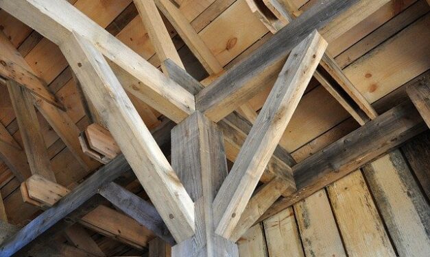 Une solution innovante dans la construction : du bois lamellé-collé en hêtre